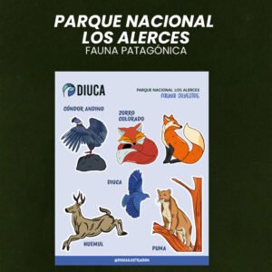 PLANCHA | Animales Autóctonos XL